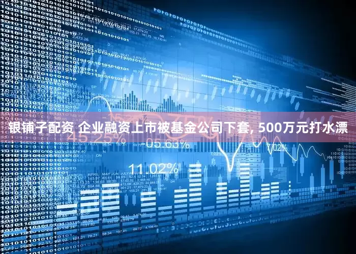银铺子配资 企业融资上市被基金公司下套, 500万元打水漂